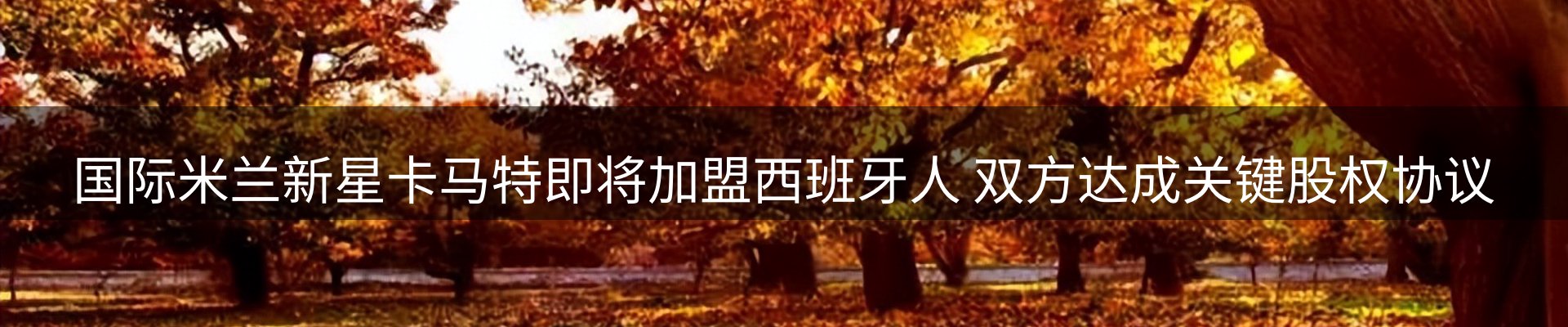资讯动态