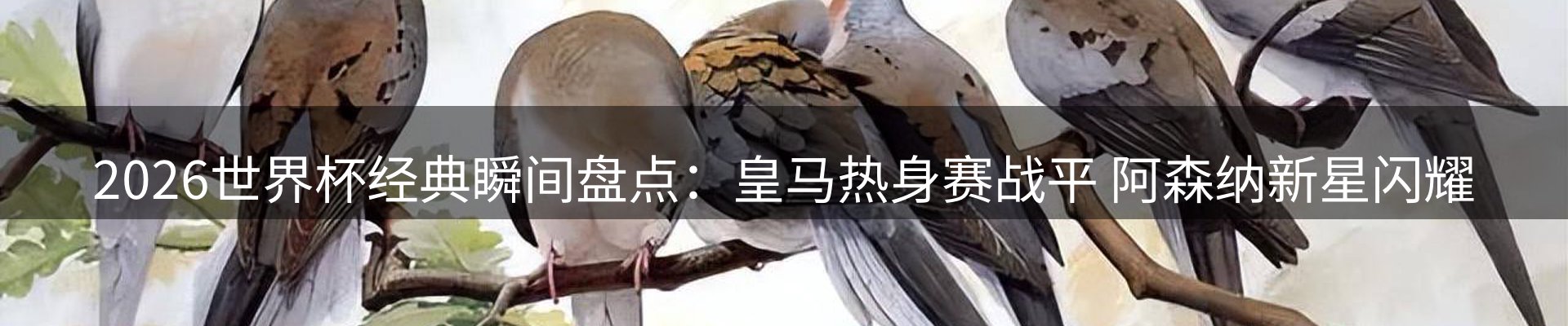 资讯动态